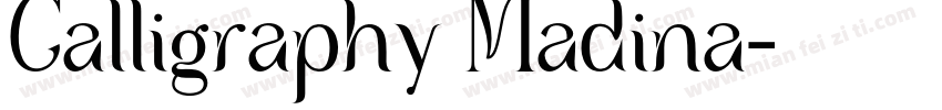 Calligraphy Madina字体转换